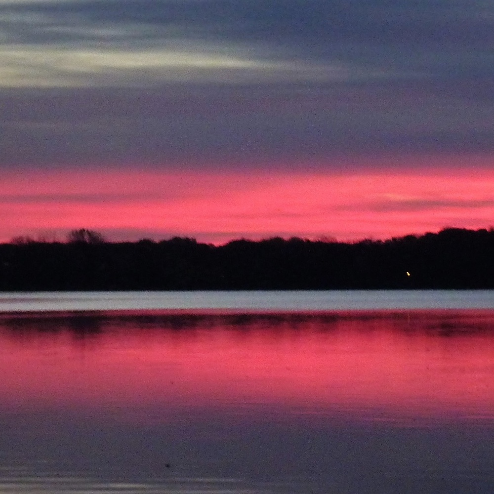 Meet your Posher, Dianne